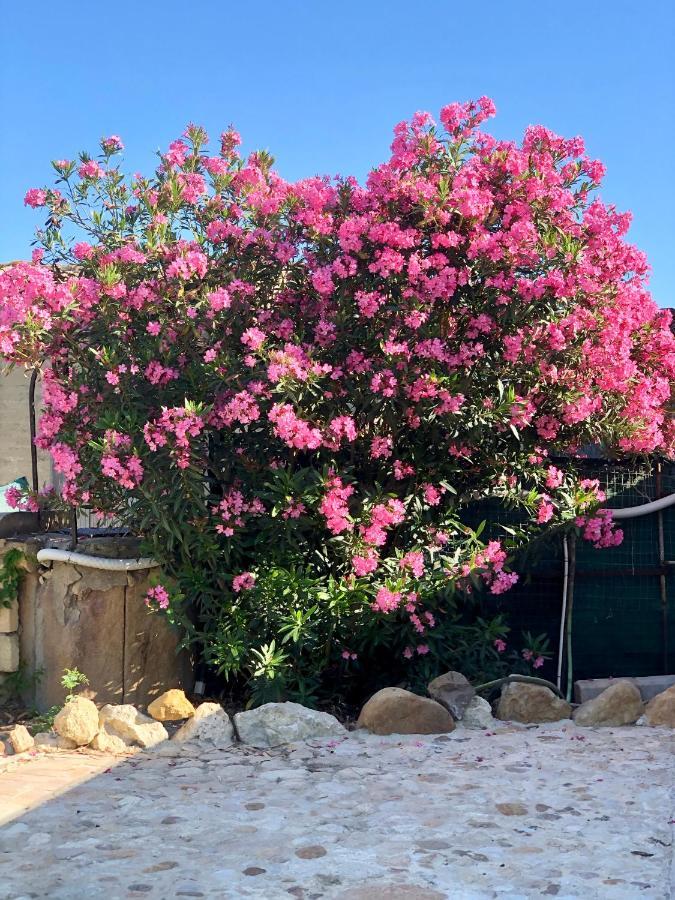 Agrialma Hotel Agrigento Eksteriør billede